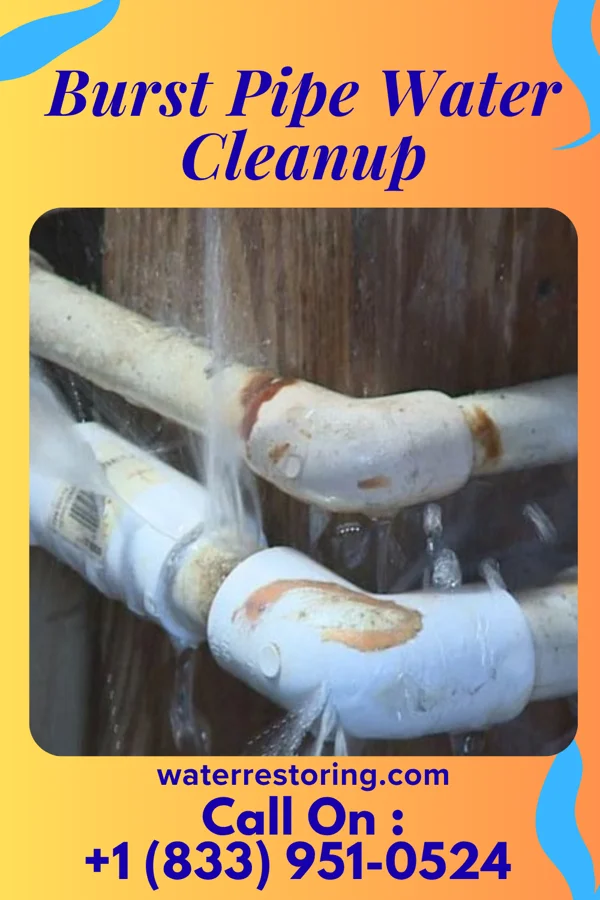 Burst Pipe Water Cleanup in Rainelle, WV