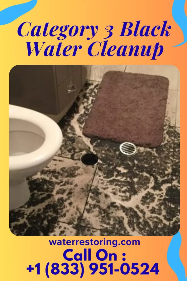 Category 3 Black Water Cleanup in Rainelle, WV