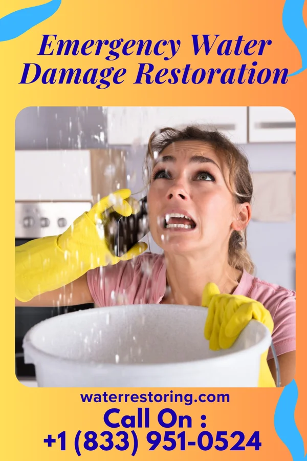 Emergency Water Damage Restoration in Rainelle, WV