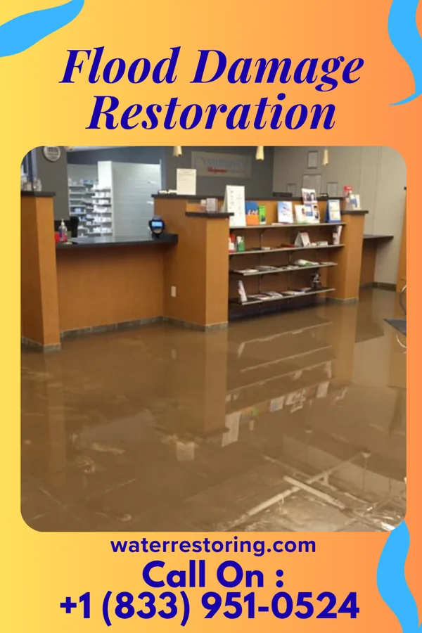 Flood Damage Restoration in Rainelle, WV