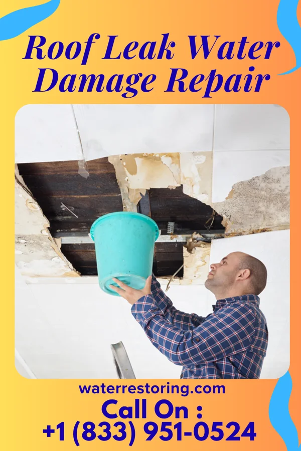 Roof Leak Water Damage Repair in Rainelle, WV