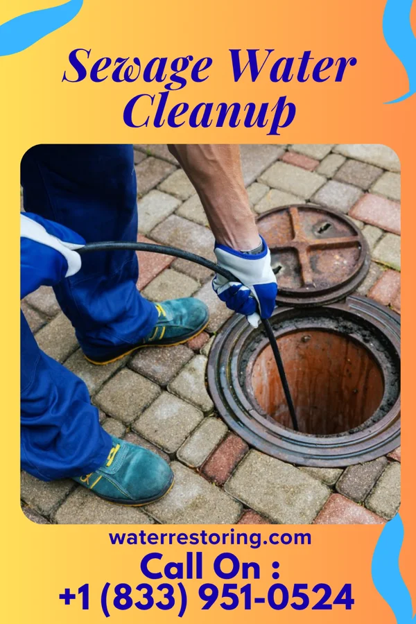 Sewage Water Cleanup in Rainelle, WV
